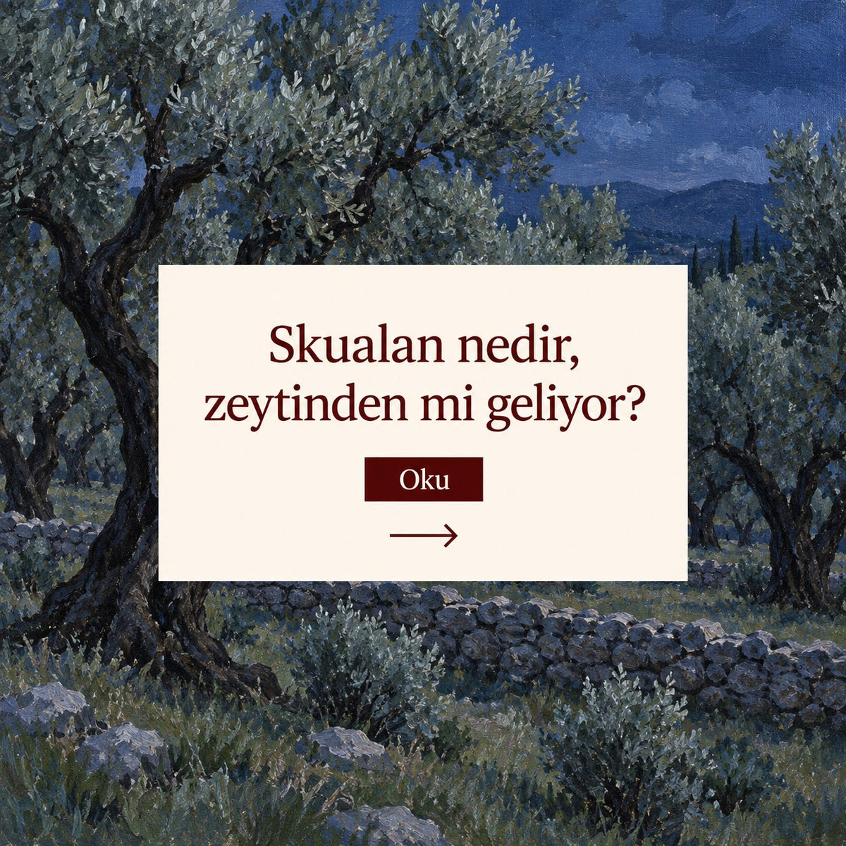 Skualan nedir, zeytinden mi geliyor?