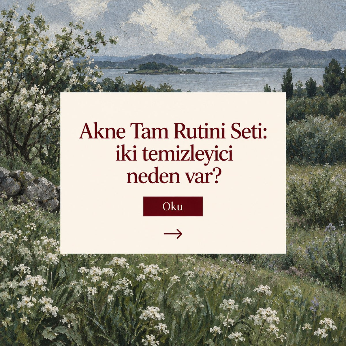 Valien School: Akne Tam Rutini Seti: iki temizleyici neden var? — çiçekli göl kıyısı tablosu üzerinde başlık kartı