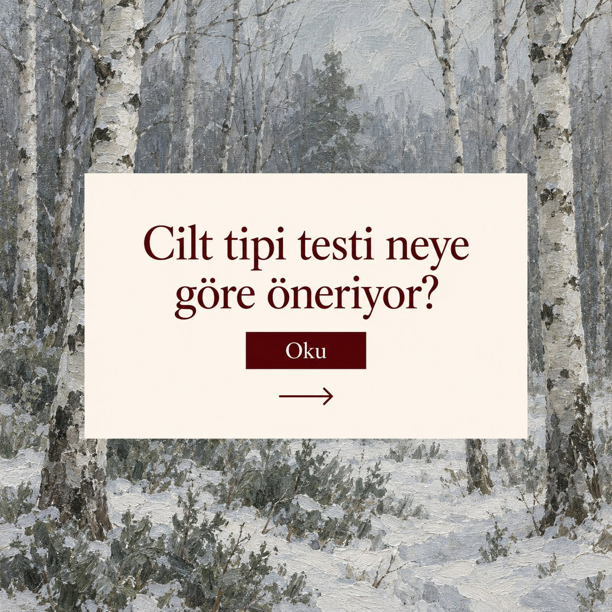 Cilt tipi testimiz neye göre öneri yapıyor?