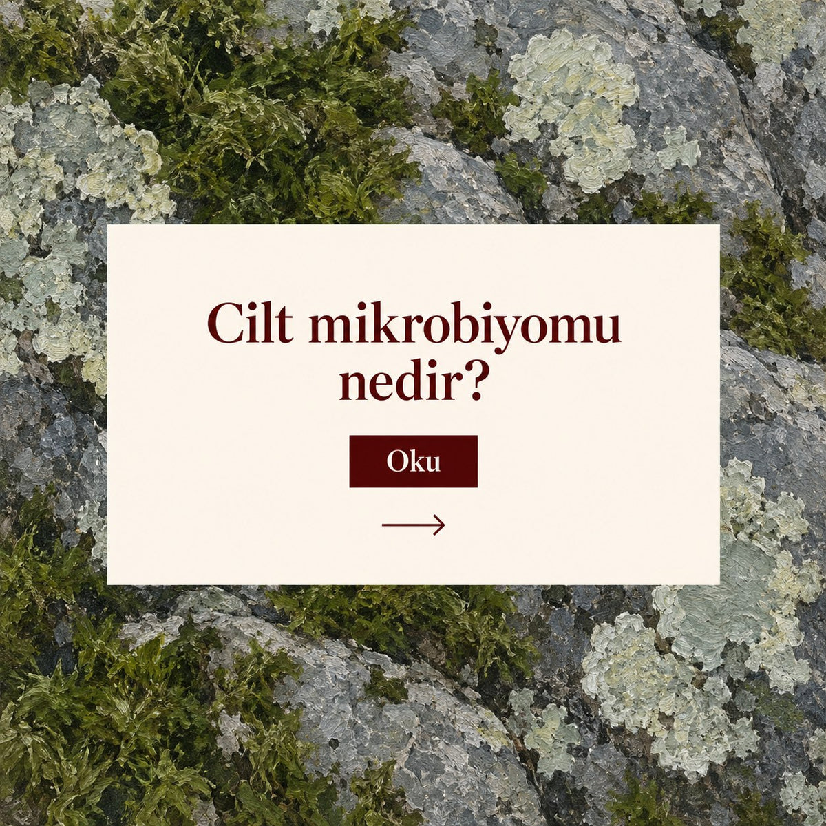 Valien School: Cilt mikrobiyomu nedir? — yosunlu ve likenli kaya tablosu üzerinde başlık kartı