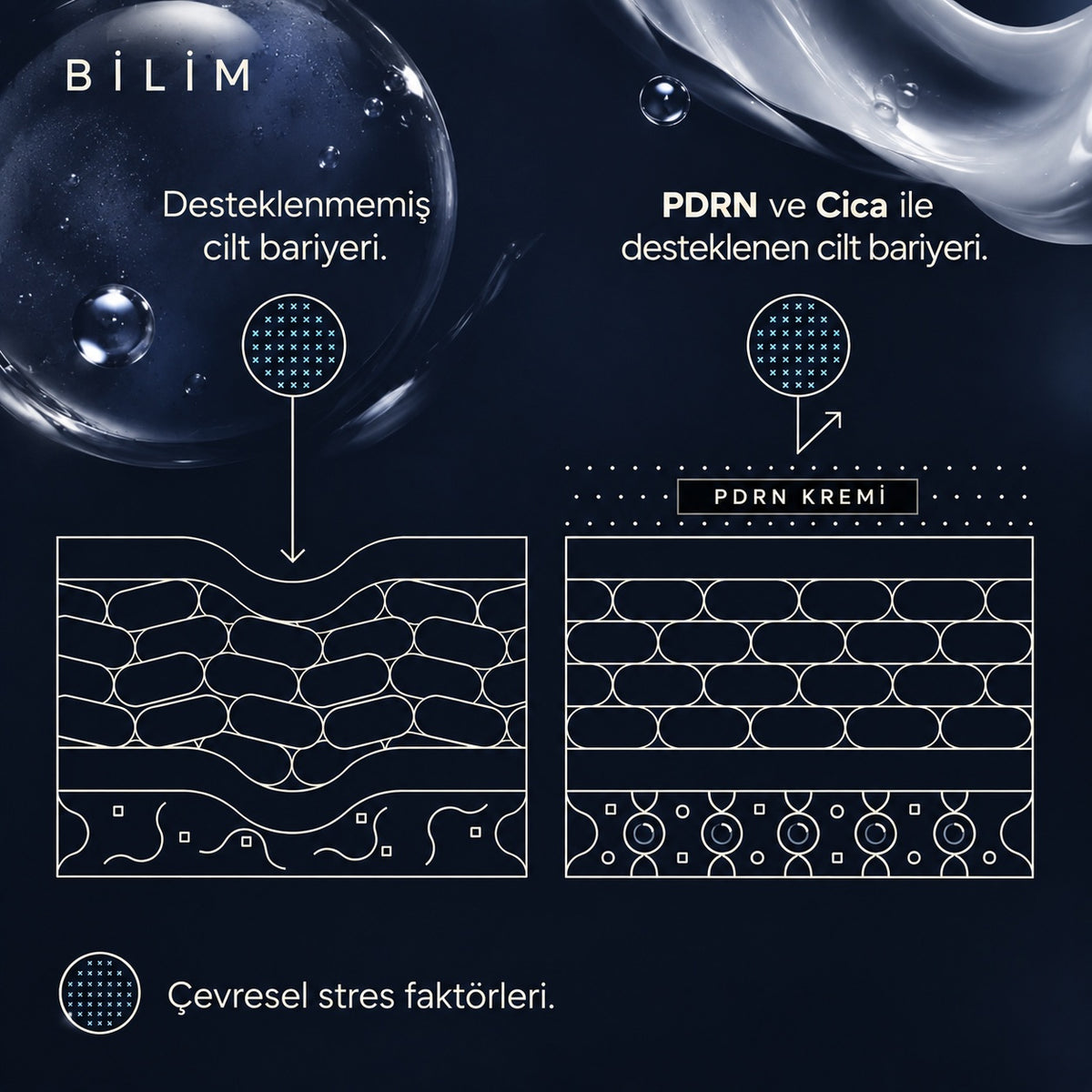 Valien Yaşlanma Karşıtı Krem PDRN (50 ml) — cilt yüzeyi çizim diyagramı