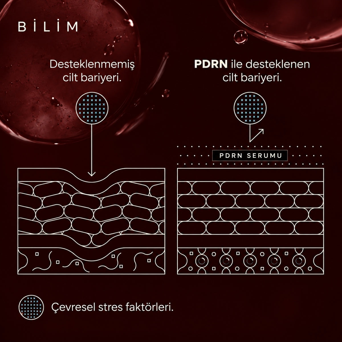 Valien Yaşlanma Karşıtı Serum PDRN (30 ml) — cilt yüzeyi çizim diyagramı