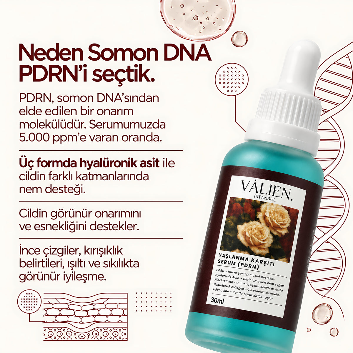 Valien Yaşlanma Karşıtı Serum PDRN (30 ml) — bileşen seçim gerekçesi
